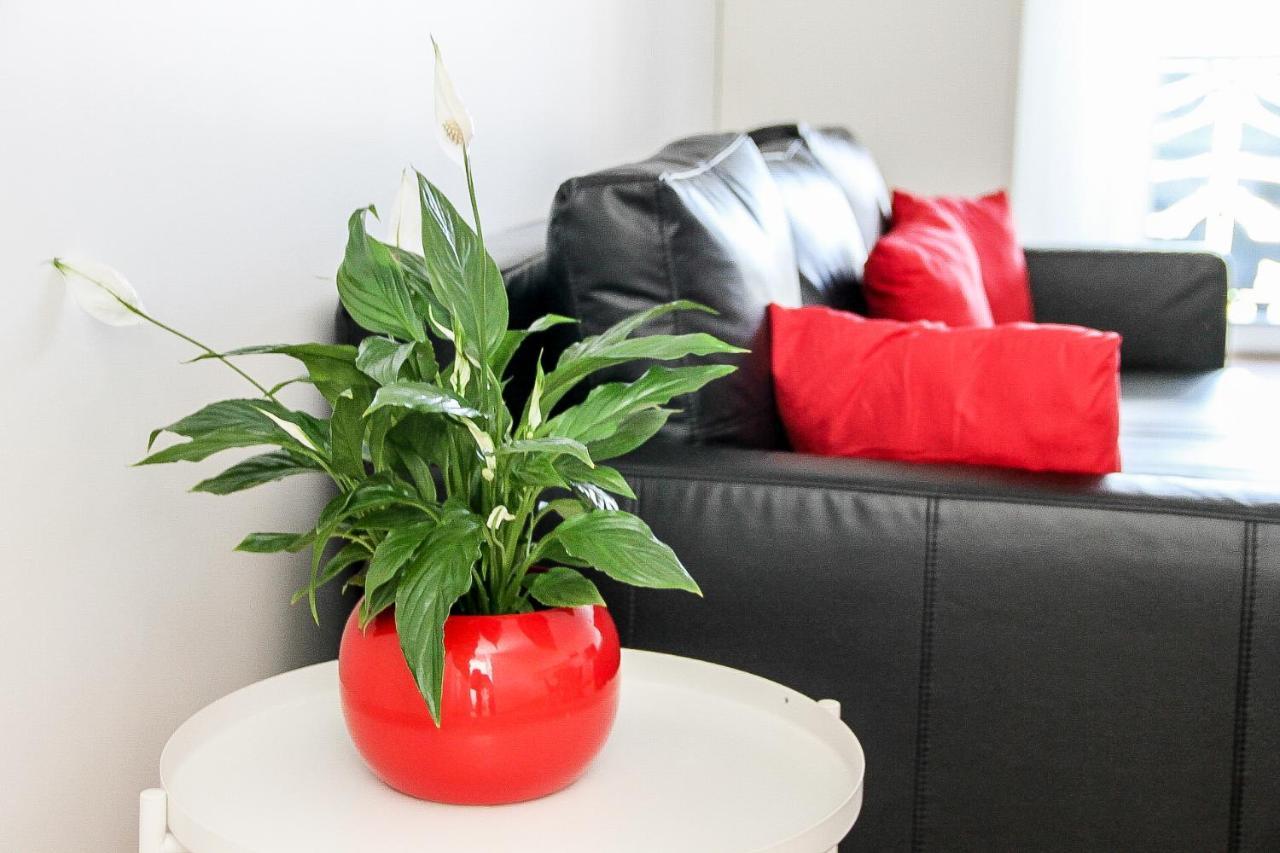 Grand T1 Moderne Jardin Pres De Cdg Apartman Le Thillay Kültér fotó